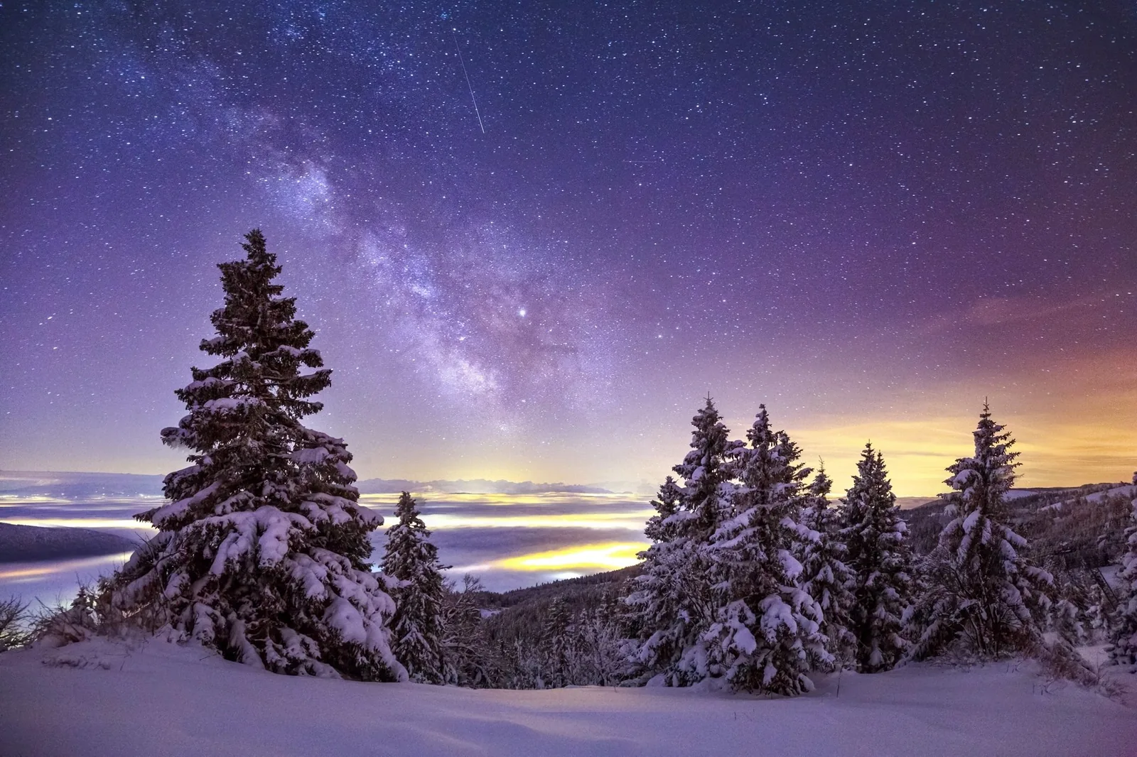 Snow-laden firs under the winter Milky Way and a fading dusk